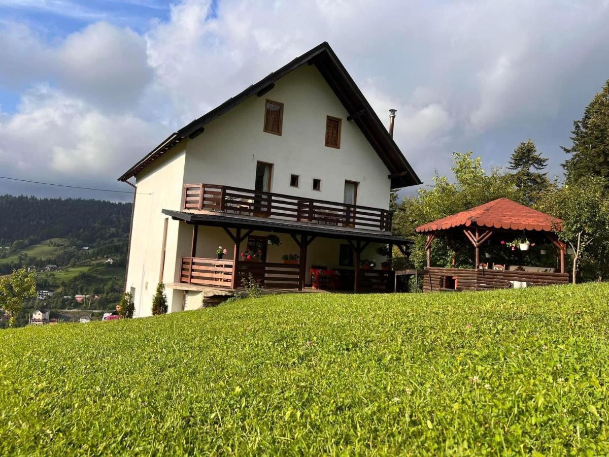 Casa Viorica Hotel Statjunea Borsa Exterior foto