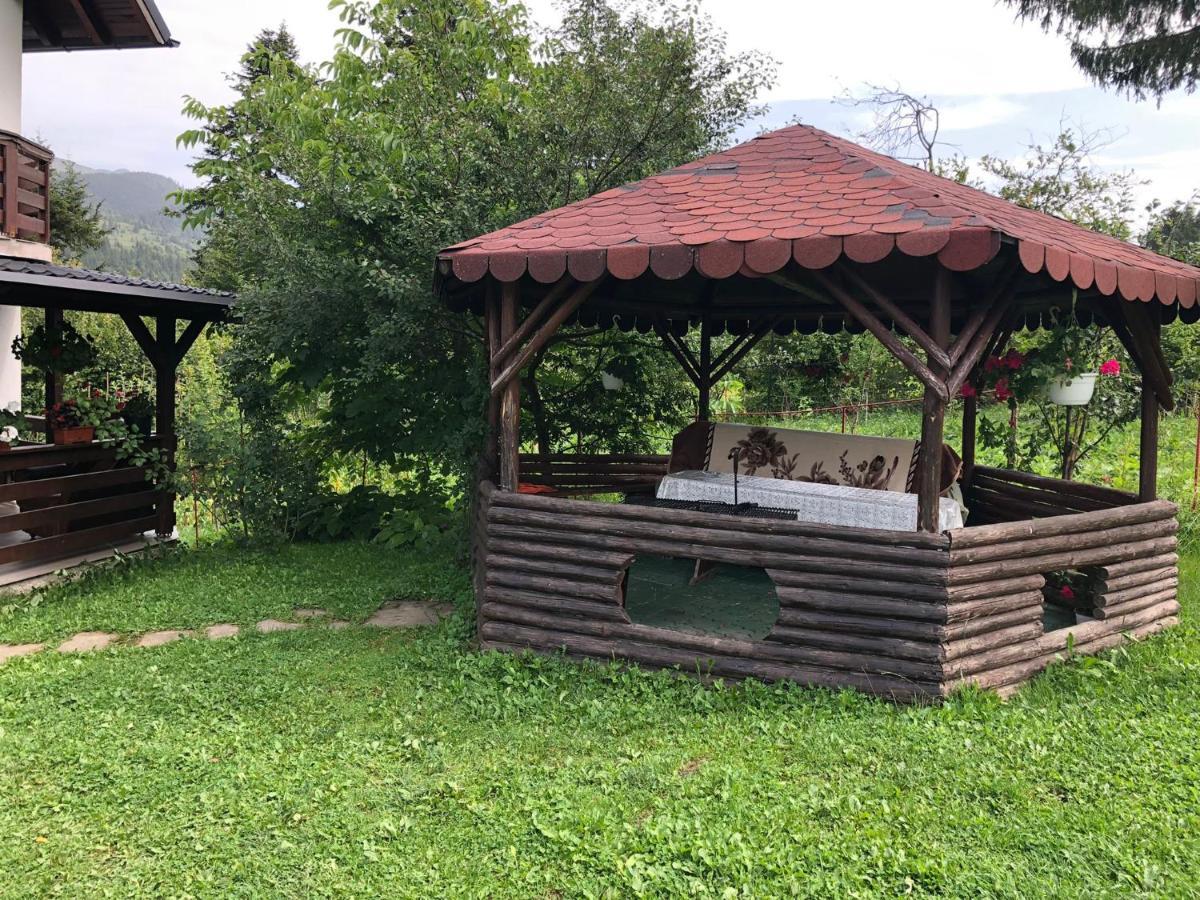 Casa Viorica Hotel Statjunea Borsa Exterior foto