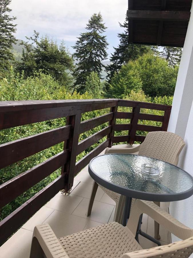 Casa Viorica Hotel Statjunea Borsa Exterior foto
